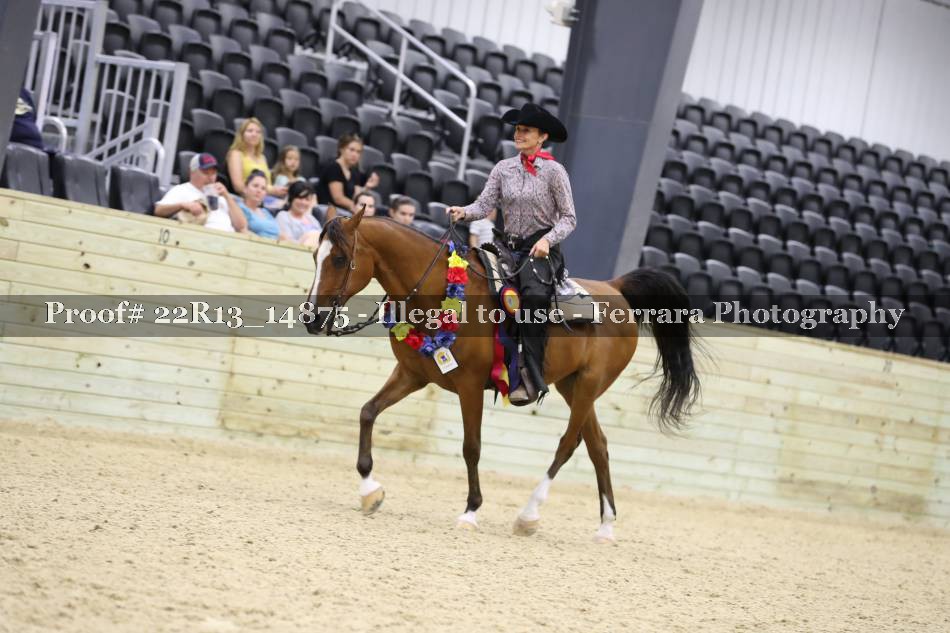 Proof 22R13_14875