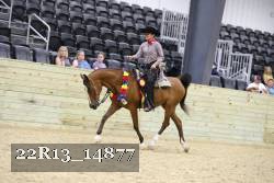 22R13_14877 proof
