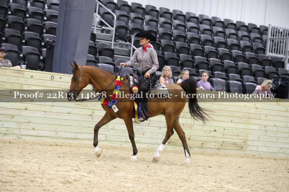 Proof 22R13_14878
