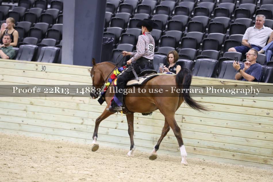 Proof 22R13_14883