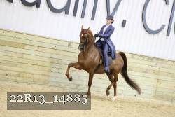 22R13_14885 proof