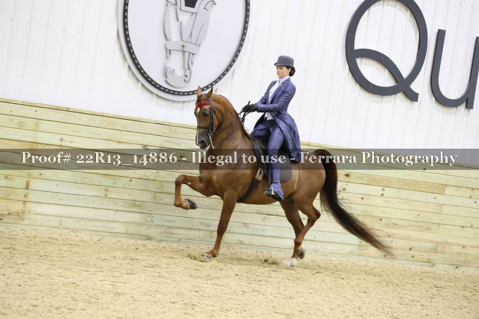 Proof 22R13_14886