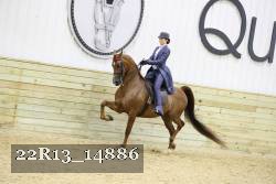 22R13_14886 proof