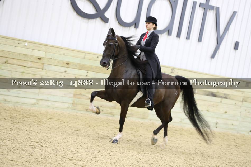 Proof 22R13_14888