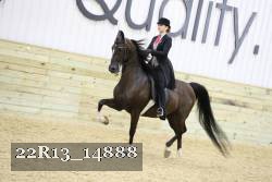 22R13_14888 proof