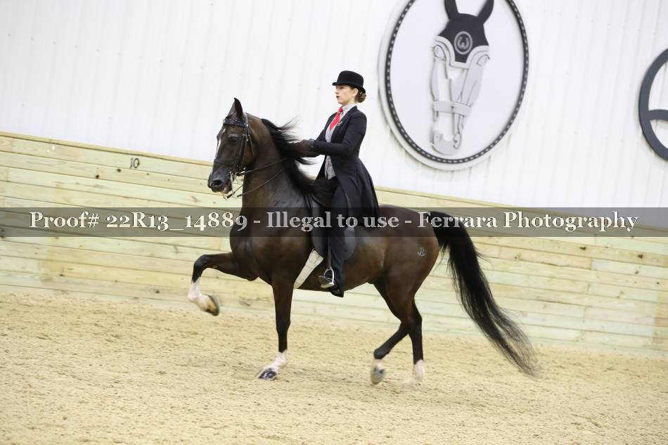 Proof 22R13_14889