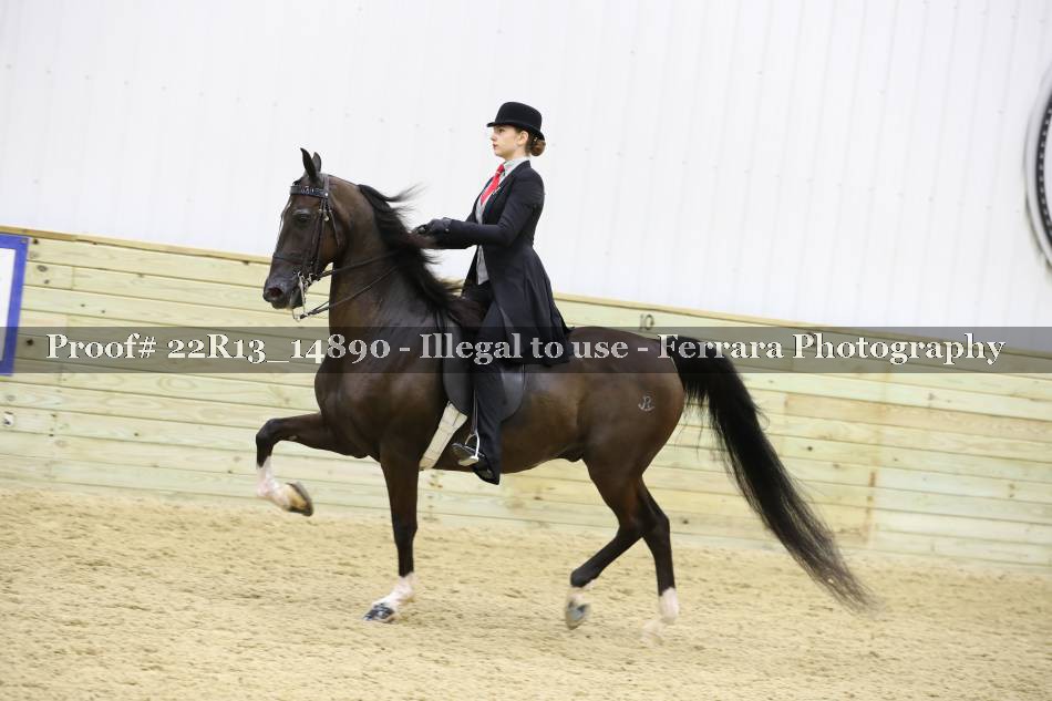 Proof 22R13_14890