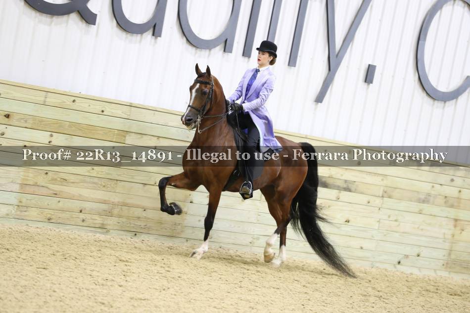 Proof 22R13_14891