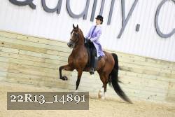 22R13_14891 proof