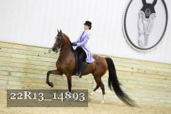 22R13_14893 proof