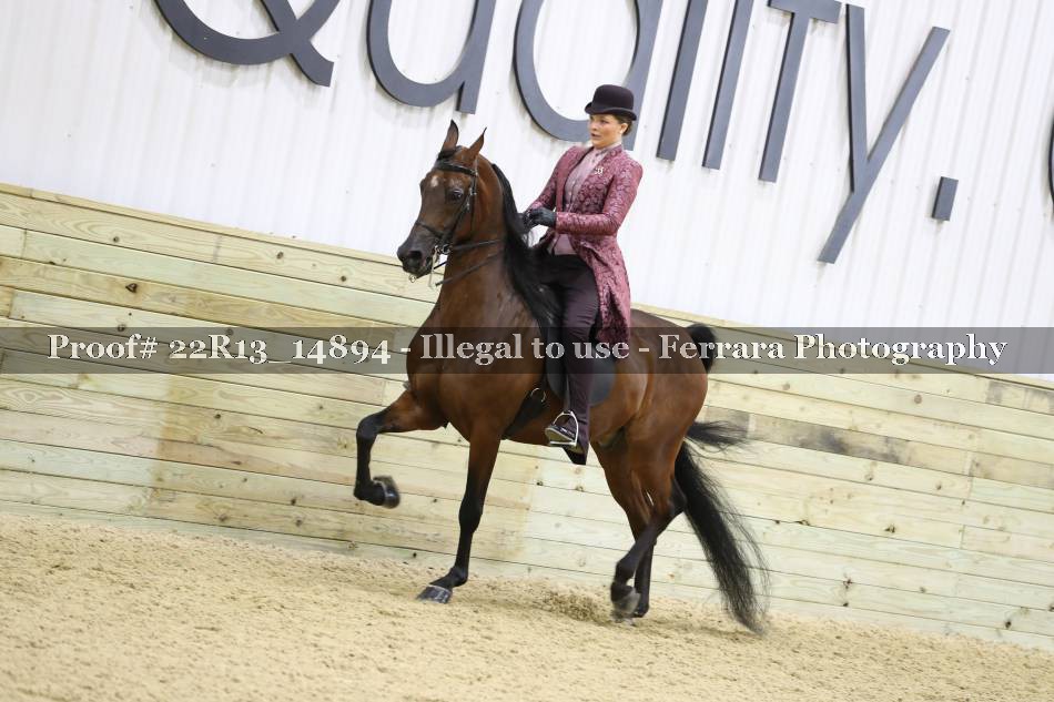 Proof 22R13_14894