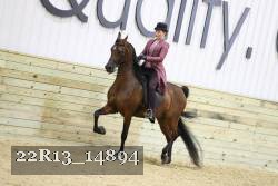 22R13_14894 proof