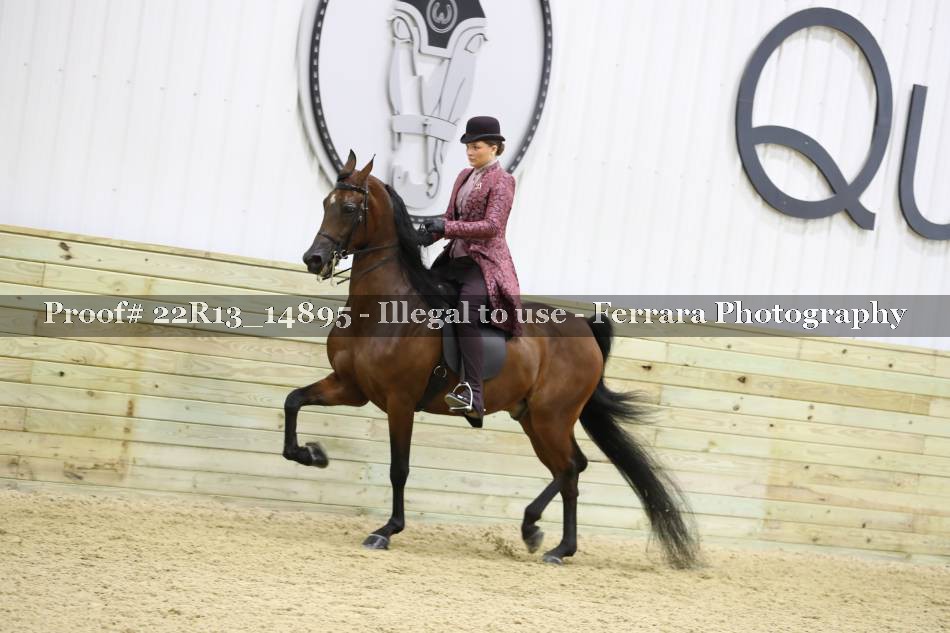 Proof 22R13_14895