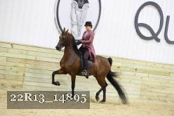 22R13_14895 proof
