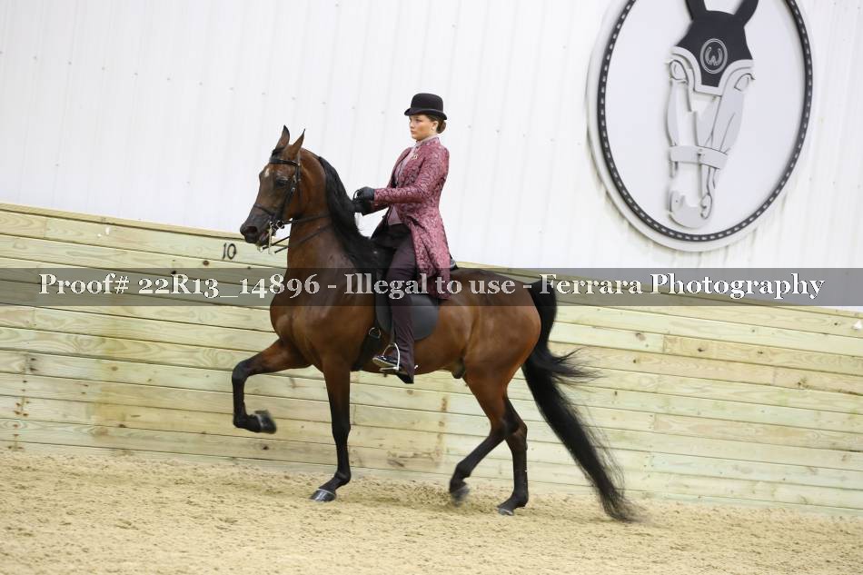 Proof 22R13_14896