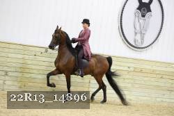 22R13_14896 proof