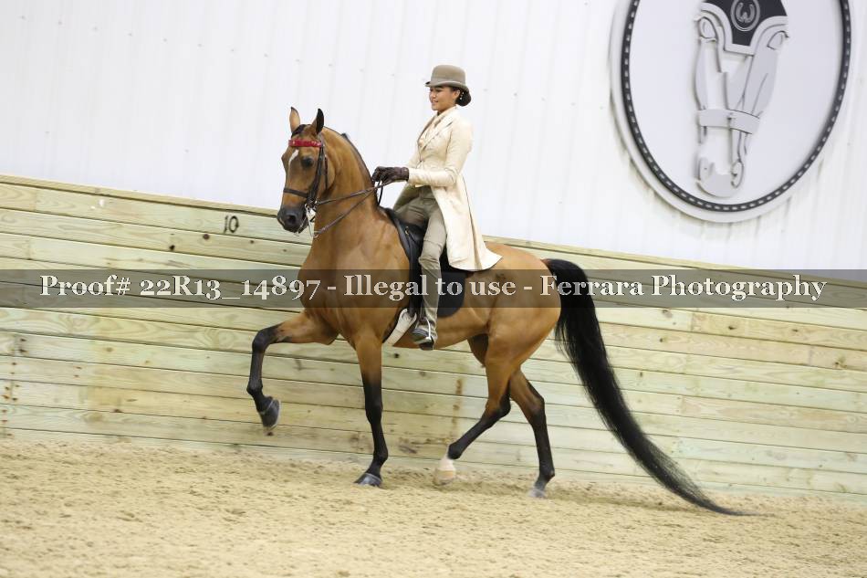 Proof 22R13_14897