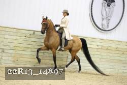 22R13_14897 proof