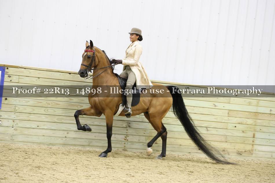 Proof 22R13_14898