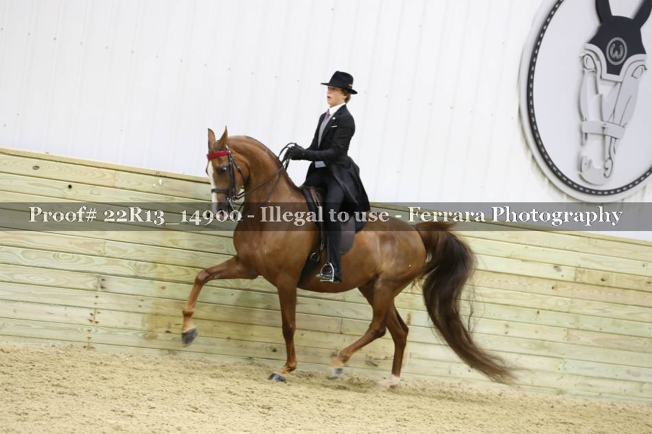 Proof 22R13_14900