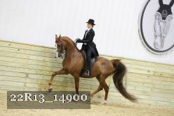 22R13_14900 proof