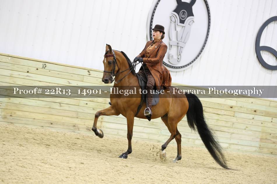 Proof 22R13_14901