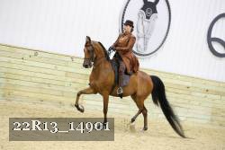 22R13_14901 proof