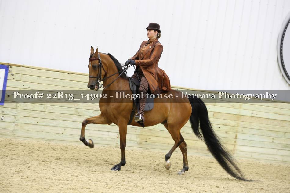 Proof 22R13_14902
