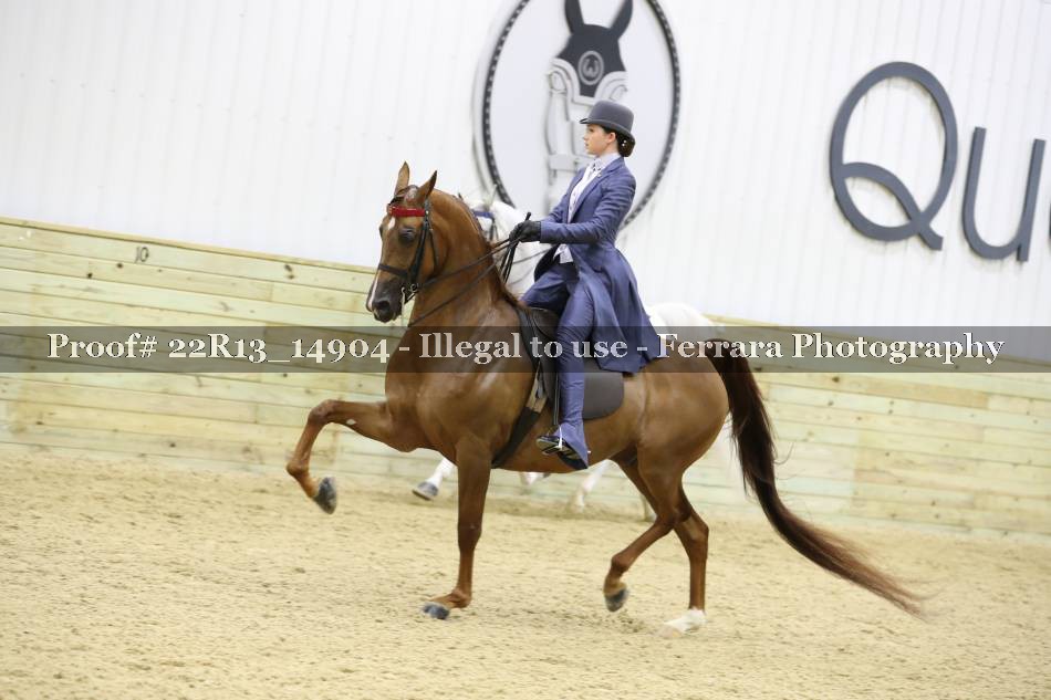 Proof 22R13_14904
