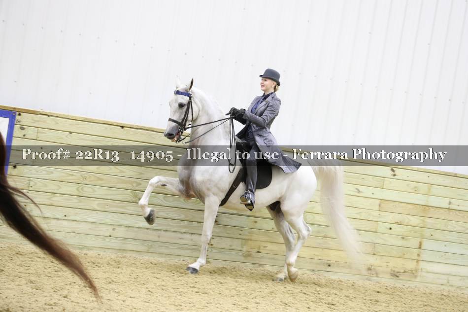 Proof 22R13_14905