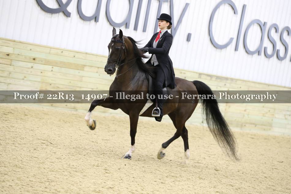 Proof 22R13_14907
