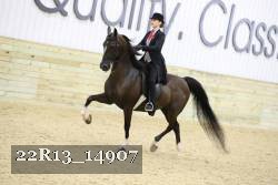 22R13_14907 proof