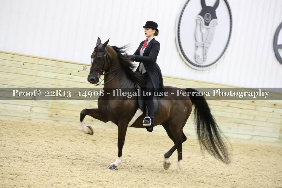 Proof 22R13_14908