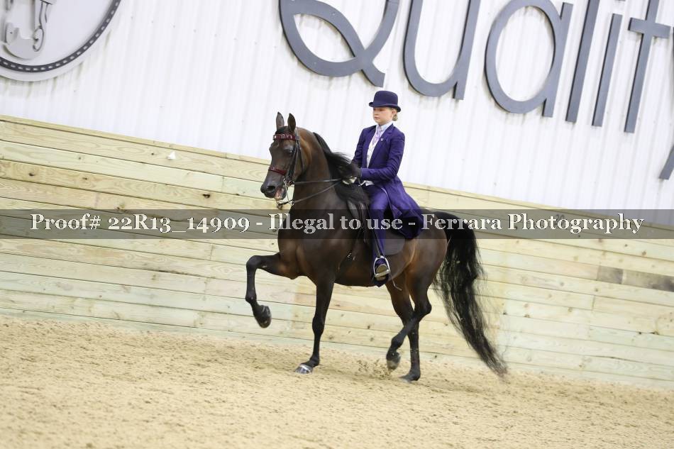 Proof 22R13_14909