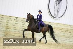 22R13_14911 proof