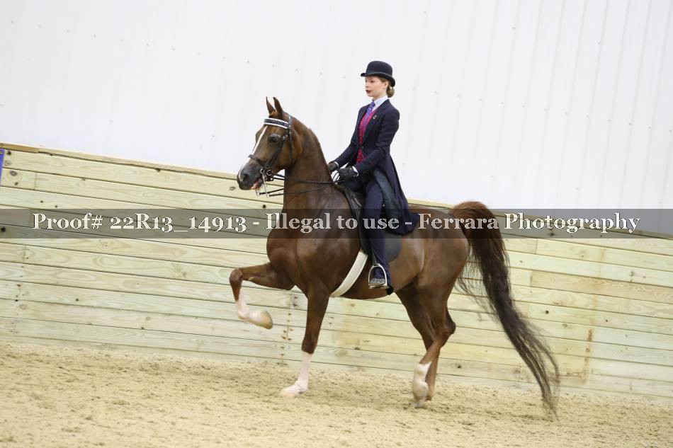 Proof 22R13_14913