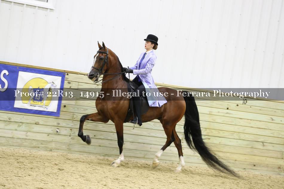 Proof 22R13_14915