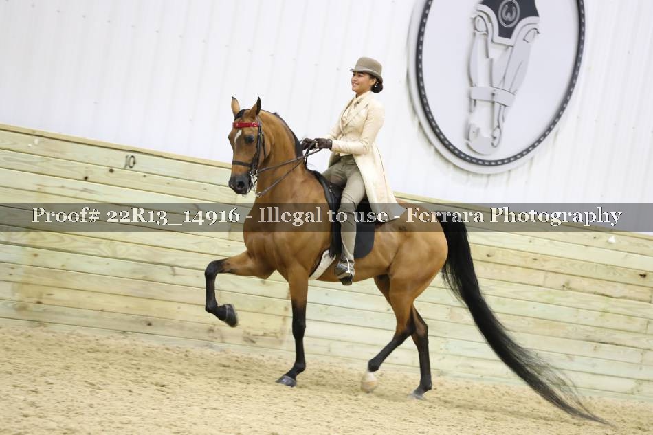 Proof 22R13_14916
