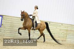 22R13_14917 proof
