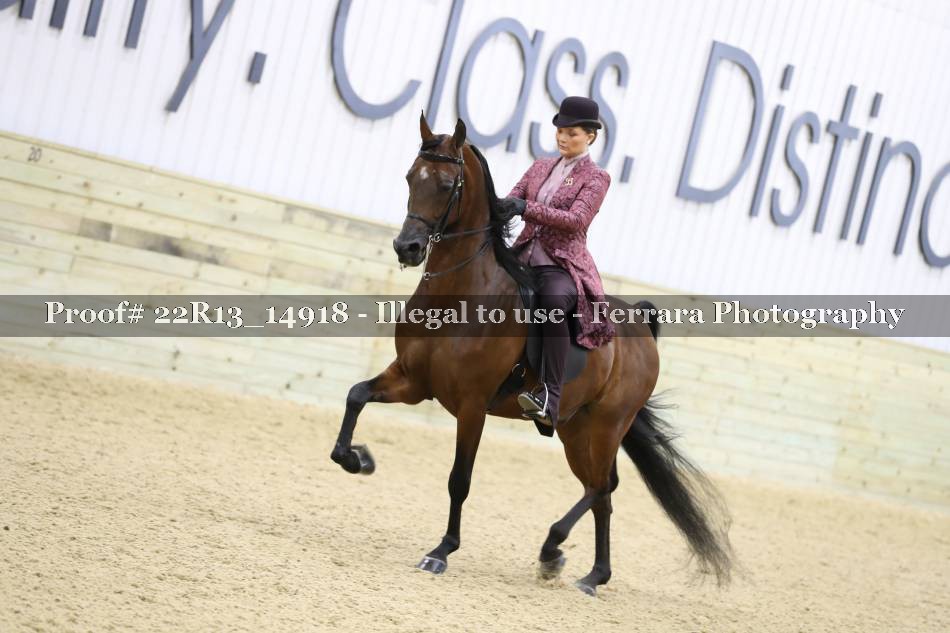 Proof 22R13_14918