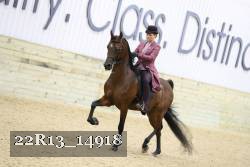 22R13_14918 proof