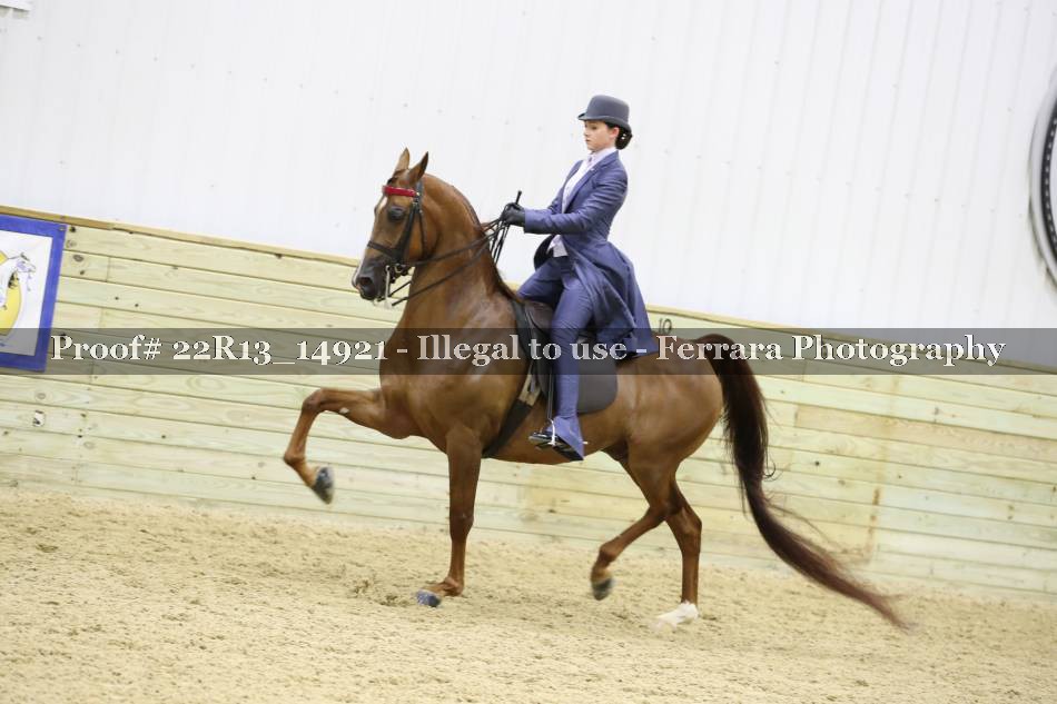 Proof 22R13_14921