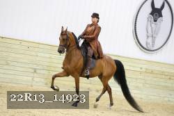 22R13_14923 proof