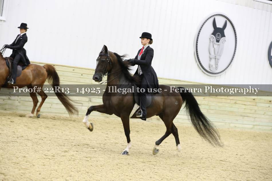 Proof 22R13_14925