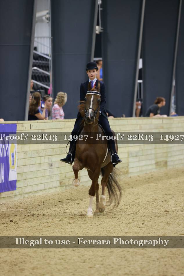 Proof 22R13_14927