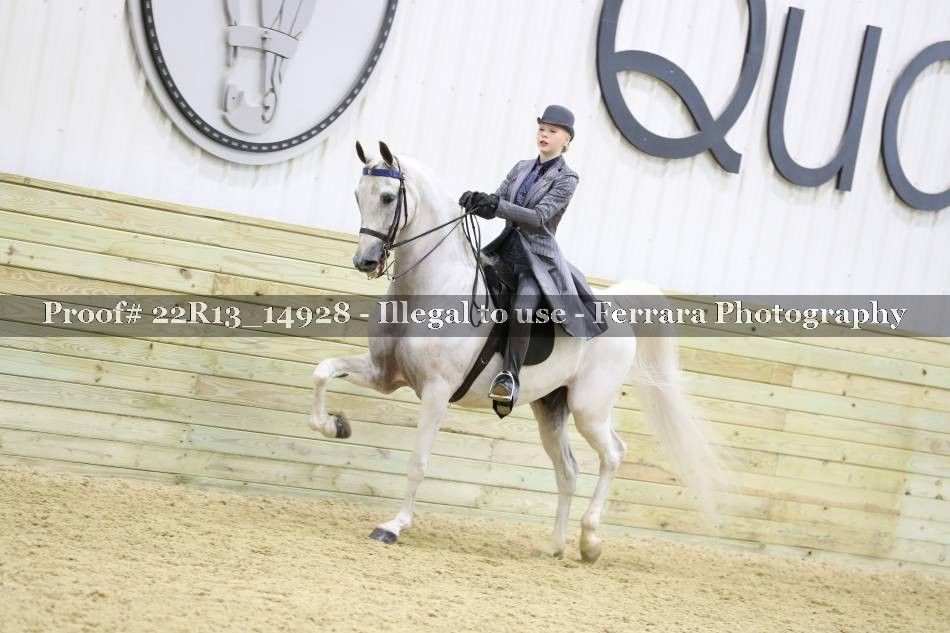 Proof 22R13_14928