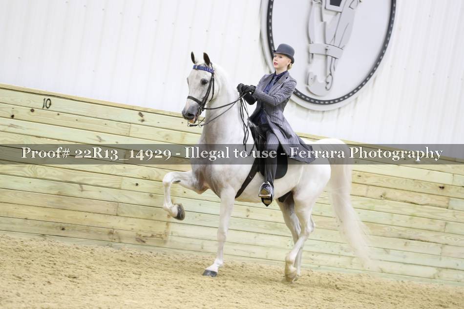 Proof 22R13_14929