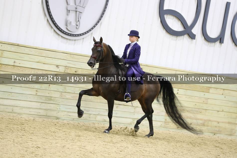 Proof 22R13_14931