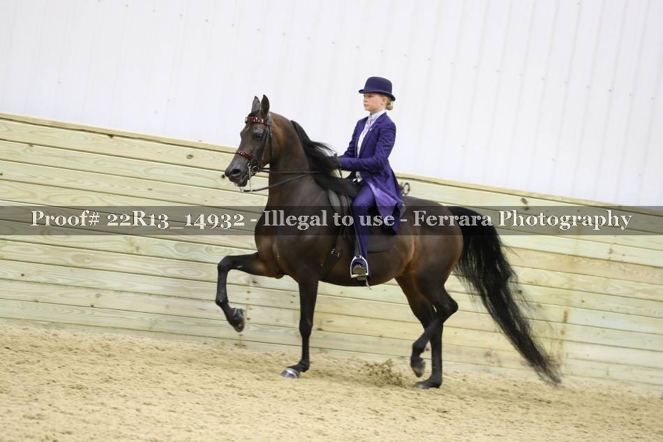Proof 22R13_14932