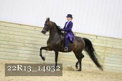 22R13_14932 proof